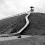 IMG 0875sw