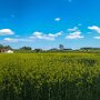 IMG 6721 stitch