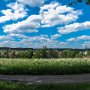 IMG 6723 stitch