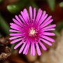 X4K0403aek