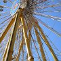 IMG 0490ak