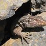 IMG 2644ak