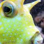 IMG 3424ek