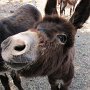 IMG 3870ek