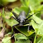 X4K7561ew